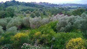 Il Melograno Country House Saturnia